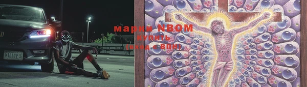 стафф Дмитровск