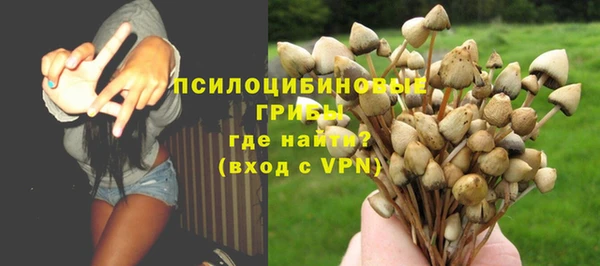 ГАЛЛЮЦИНОГЕННЫЕ ГРИБЫ Дмитров