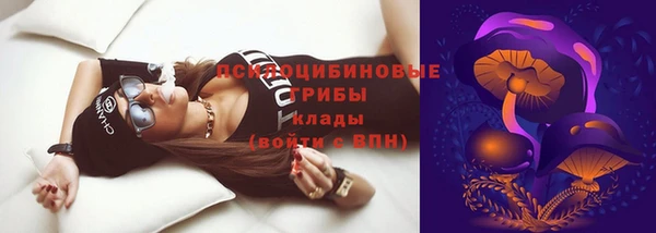 крисы Гусиноозёрск