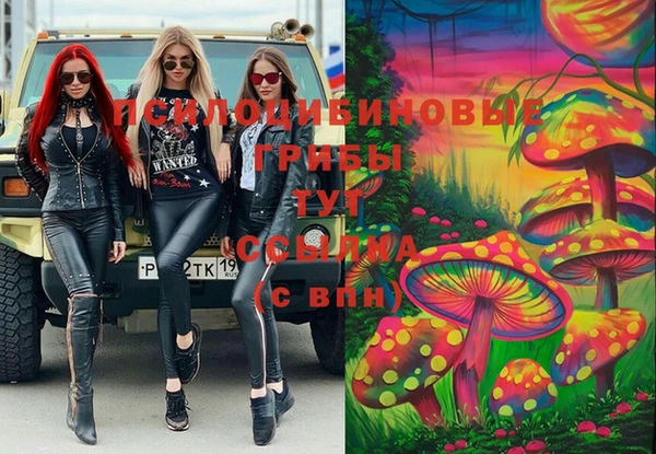 крисы Гусиноозёрск