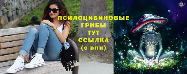 крисы Гусиноозёрск