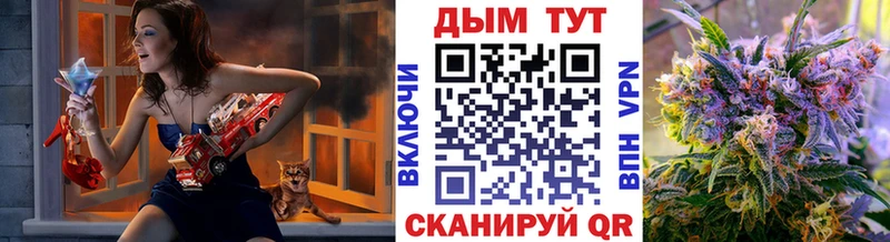 Купить закладки  Лахденпохья  Конопля сатива 